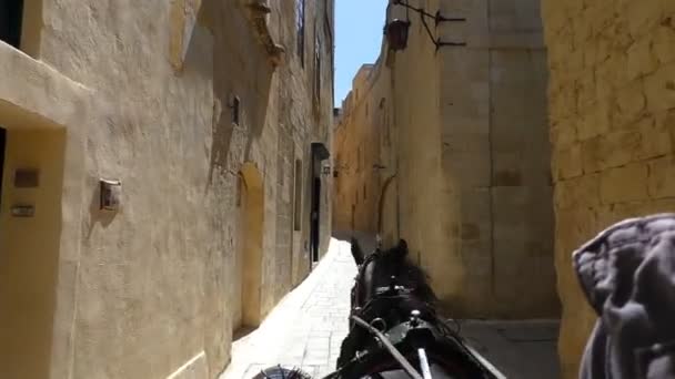 오래 된 도시에서 말 그려진된 마차 타고 — 비디오