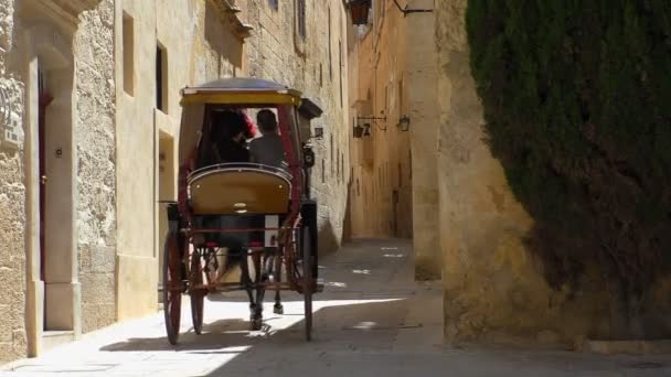 Horse carriage on narrow street,rear view — Stock Video