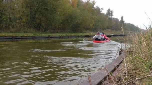 Family kayaking in autumn — Stock Video