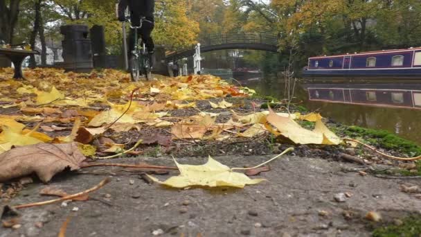 Kerékpárosok őszi parkban folyó oldalán — Stock videók
