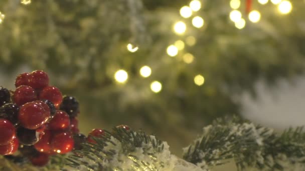 Red berries on frosted christmas tree background — Stock Video