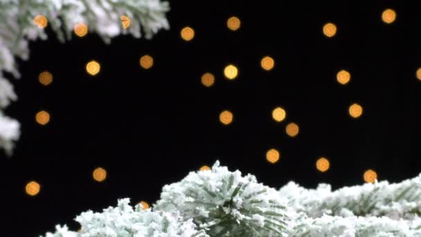 Christmas tree branch bedekt met sneeuw in de nacht — Stockvideo