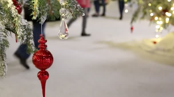 Människor gå runt inredda julgranar — Stockvideo