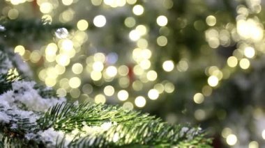 Noel arka plan, ağaç dalı, kar, bokeh ışıklar