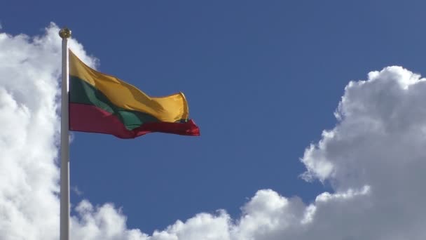 Bandera nacional de Lituania — Vídeo de stock