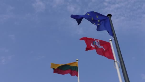 Флаги Литвы и ЕС крупным планом — стоковое видео