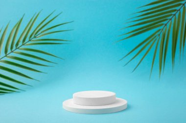 Mavi zemin üzerinde tropikal yapraklar bulunan ürün sunumu için beyaz podyum.