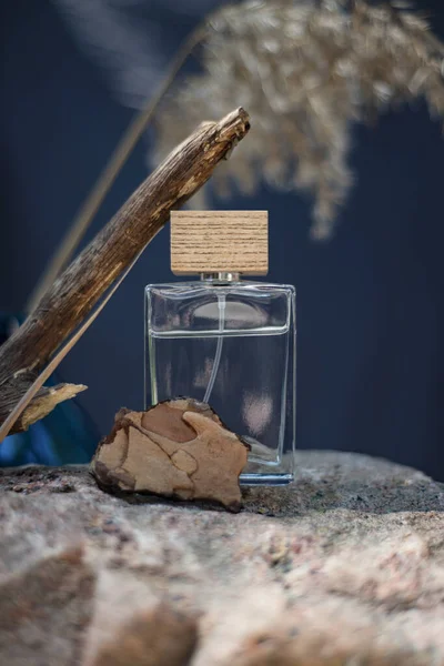 Flacon transparent de parfum sur fond de pierre et de bois. Essence femme et homme aux notes boisées. — Photo