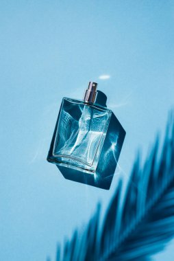 Palmiye yapraklı doğal malzemelerde moda olan konsept. Kadın ve erkeğin özü..