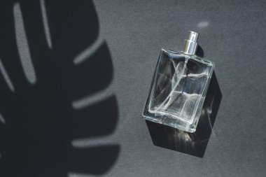 Koyu gri arka planda saydam bir parfüm şişesi. Gün ışığıyla parfüm sunumu.