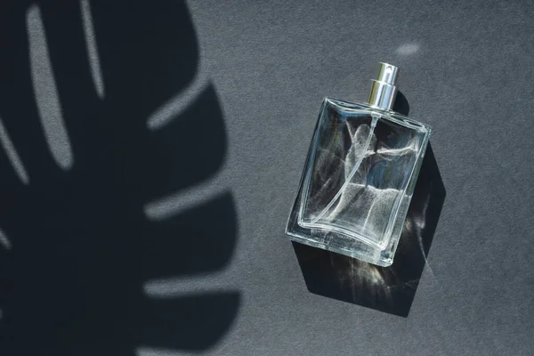 Átlátszó parfümös üveg sötét szürke háttérrel. Illatanyag-kiszerelés nappal. — Stock Fotó