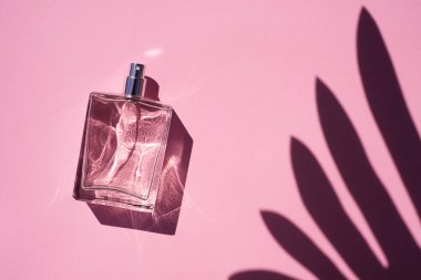 Pembe arka planda saydam bir parfüm şişesi. Palmiye yapraklı doğal malzemelerdeki trend konsepti.