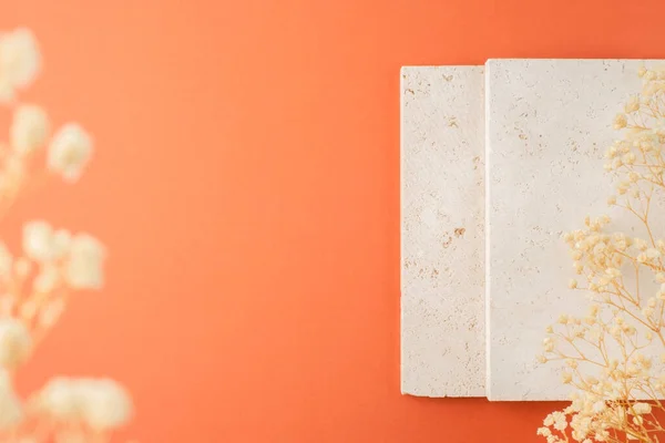 Pedra natural para a apresentação de jóias e cosméticos. Bandeja de armazenamento. Apresentação para texto ou publicidade. — Fotografia de Stock