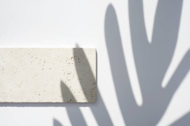 Mücevher ve kozmetik ürünlerinin sunumu için doğal bir taş. Depolama tepsisi. Gün ışığıyla sunum.