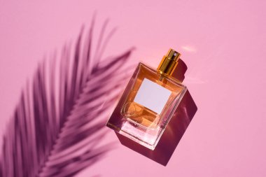 Pembe arka planda saydam bir parfüm şişesi. Gün ışığıyla güzel kokulu bir sunum. Palmiye yapraklı doğal malzemelerde moda olan konsept. Metin için beyaz etiketli cam temizle.