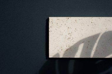 Mücevher ve kozmetik ürünlerinin sunumu için doğal bir taş. Depolama tepsisi. Gün ışığıyla sunum.