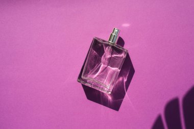 Mor arka planda şeffaf bir parfüm şişesi. Palmiye yapraklı doğal malzemelerdeki trend konsepti.