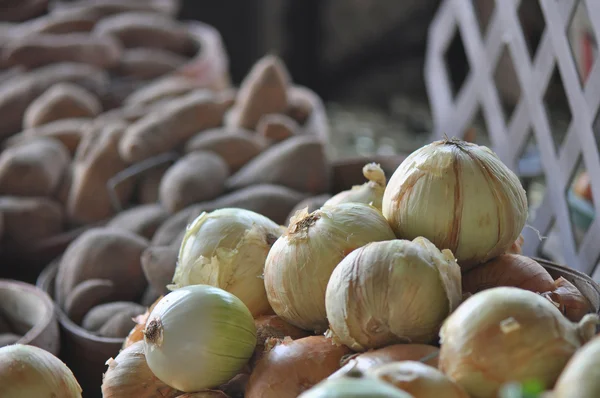 Farmers Market Onions — Stock Photo, Image