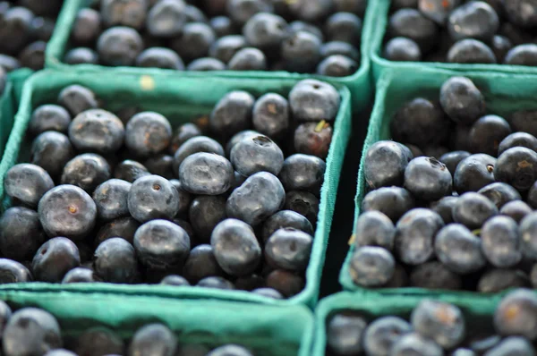 Agricultores comercializam mirtilos Imagens De Bancos De Imagens