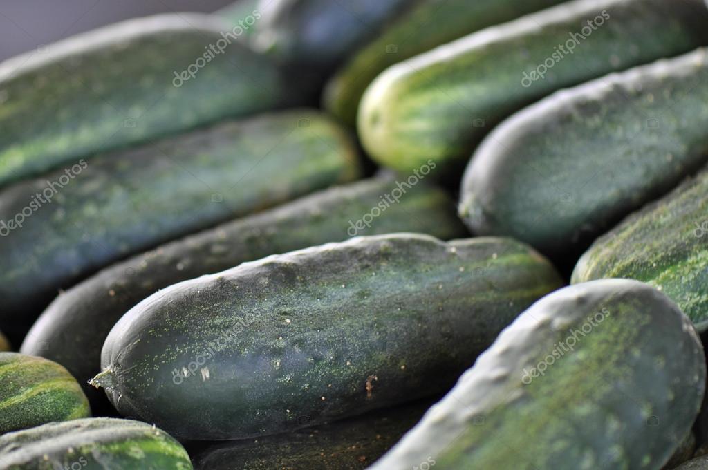 огурцы на рынке. огурцы на рынке. овощи на рынке. свежие огурцы на рынке. огурчики на рынке.