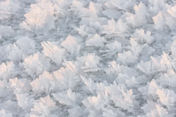 Large snow crystals closeup — Stock Photo, Image