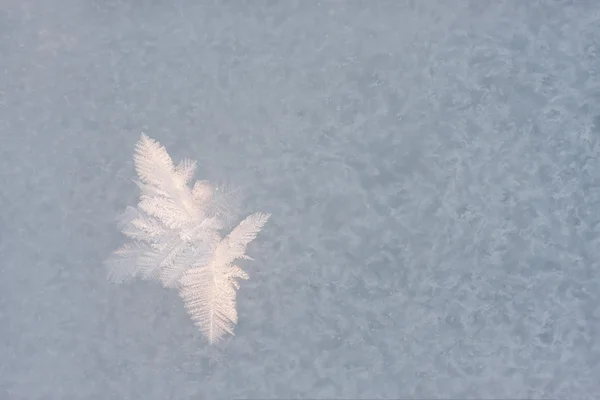 Large snow crystal closeup in winter — Stock Photo, Image