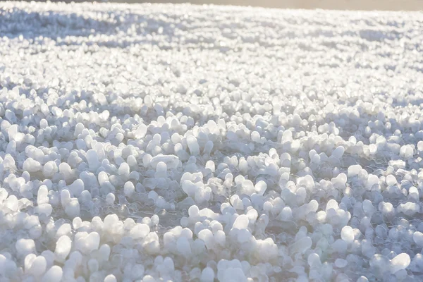 Little round icicles on the ground — Stock Photo, Image