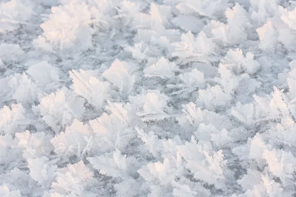 Große Schneekristalle Nahaufnahme — Stockfoto