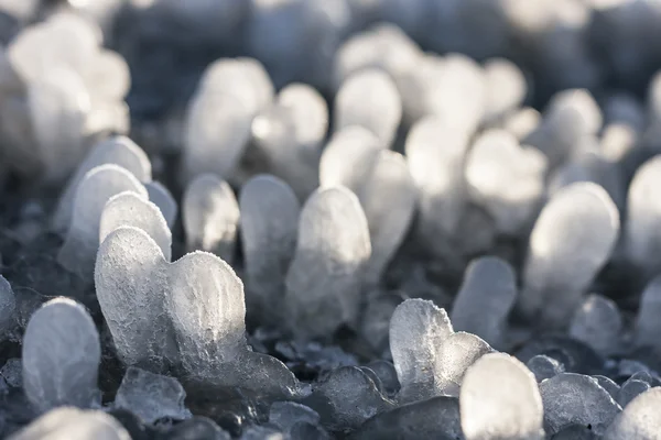 Little round icicles on the ground — Stock Photo, Image