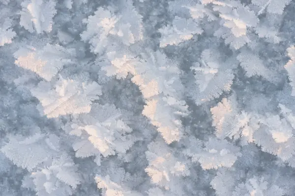 Closeup velké sněhové krystaly — Stock fotografie