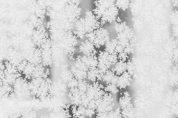 Närbild av snö eller is kristaller — Stockfoto