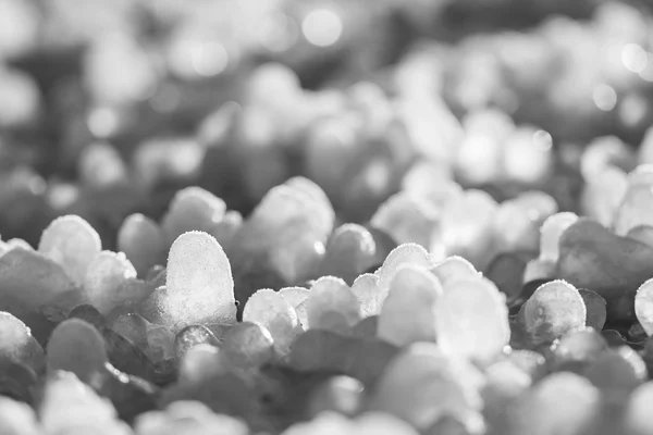 Little round icicles on the ground — Stock Photo, Image