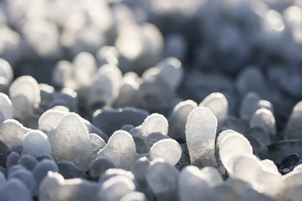 Little round icicles on the ground — Stock Photo, Image