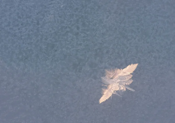 大規模な雪結晶のクローズ アップ — ストック写真