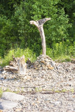 Taşlar hakkında eski soyulmuş ağaç kaynaklanıyor
