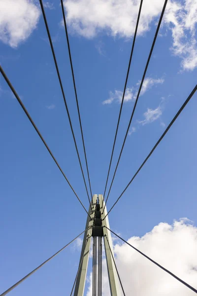 Metal ropes of suspension bridge — Stock Photo, Image