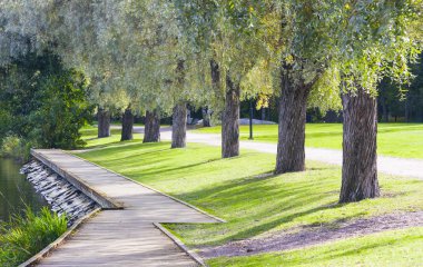 Yaz geçit ve ağaçlar sokakta