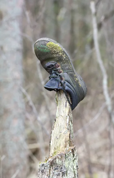 Alter verlorener Stiefel im Wald — Stockfoto