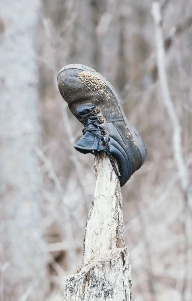 Старий загублений черевик у лісі — стокове фото