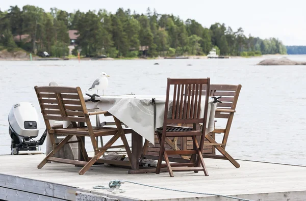 Seagull op een tafel — Stockfoto