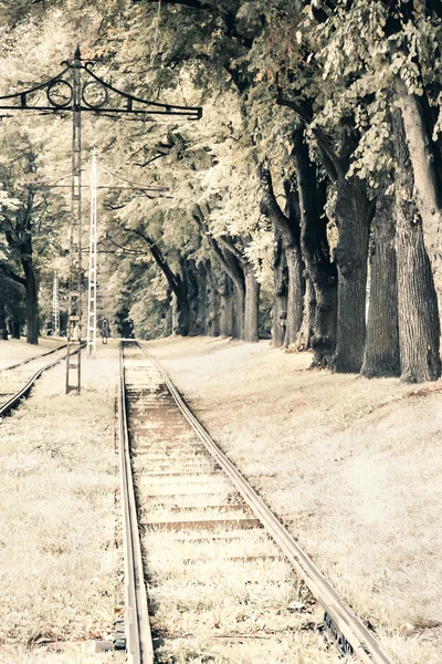 Foto de estilo antiguo del ferrocarril en el bosque —  Fotos de Stock