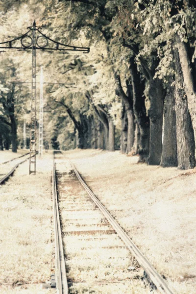 Demiryolu ormandaki eski stil fotoğraf — Stok fotoğraf