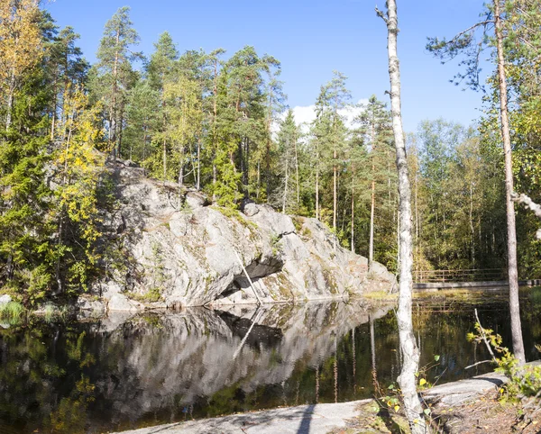 Cliff omgeven door bos in de buurt van lake — Stockfoto