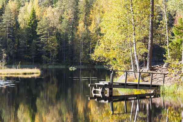 Puente en un lago en colorido bosque otoñal —  Fotos de Stock