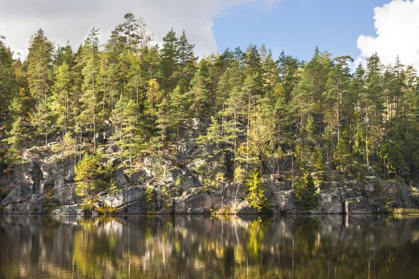 Floresta no topo de um penhasco à beira do lago — Fotografia de Stock