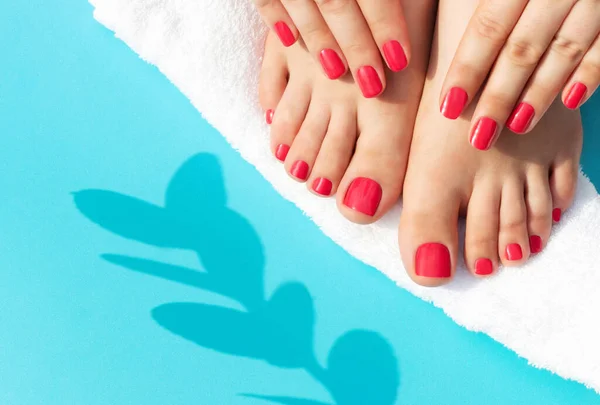 Hands and legs with manicure and pedicure, a shadow from plant on blue background.