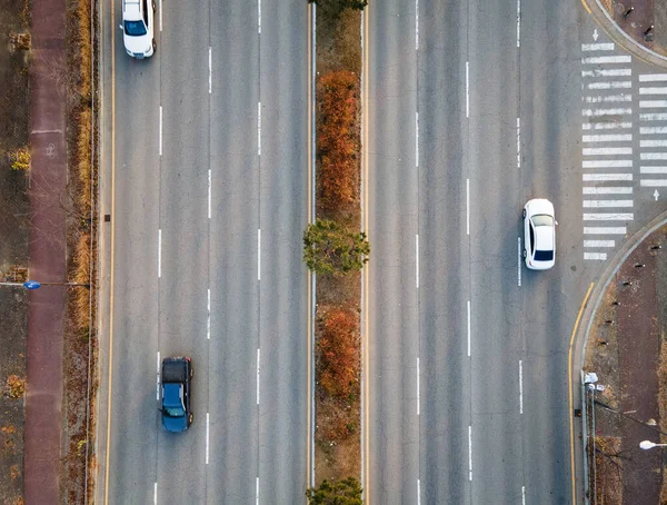 City four-lane road with cars and trees, aerial view.