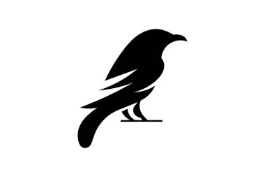 Kuzgun logo şablonu vektör çizimi 