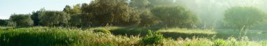 panoramik provence manzara