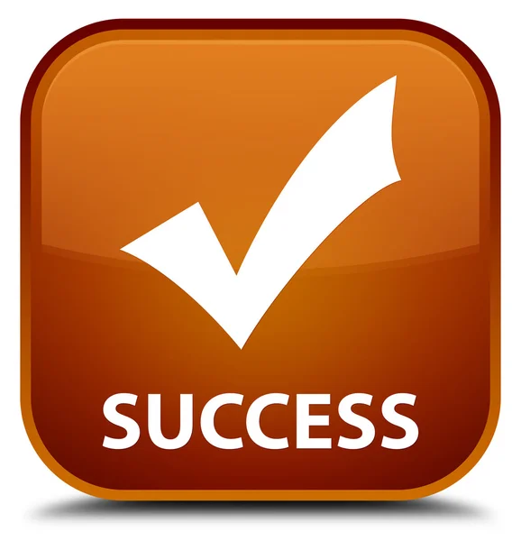 Кнопка Success (валидация значка) коричневого квадрата — стоковое фото